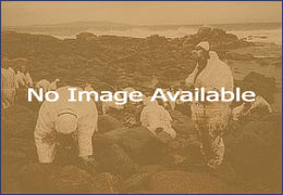 oil spill angola